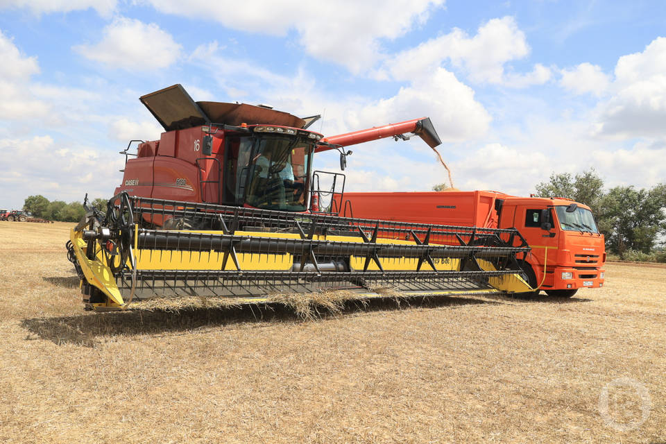 Объем агропроизводства в Волгоградской области превысил 400 млрд рублей