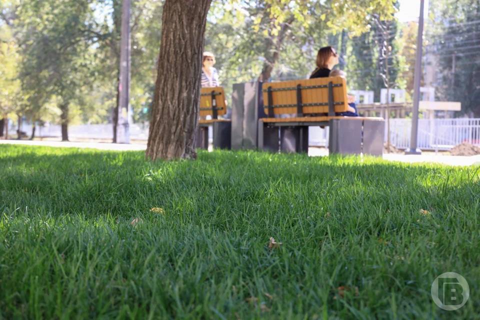 Территория имени Зинаиды Ермольевой появится в Волгограде