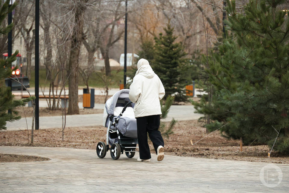 Как получить статус малоимущих, рассказали волгоградским семьям