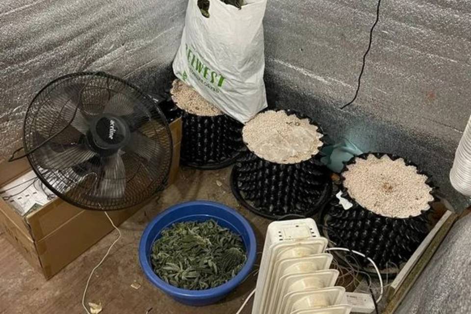 Волгоградские полицейские задержали группу наркоторговцев