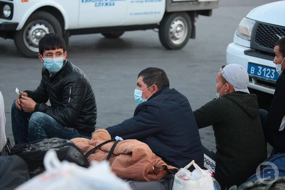 Полиция прошлась рейдом по мигрантам под Волгоградом