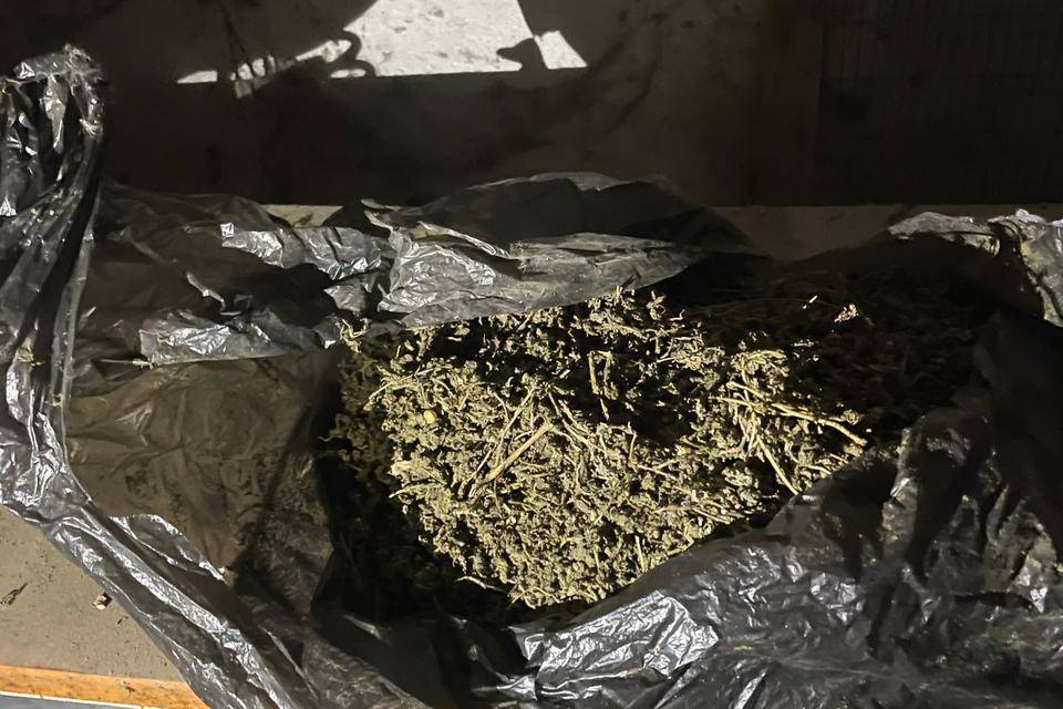 Полкило наркотиков прятал волгоградец у себя дома