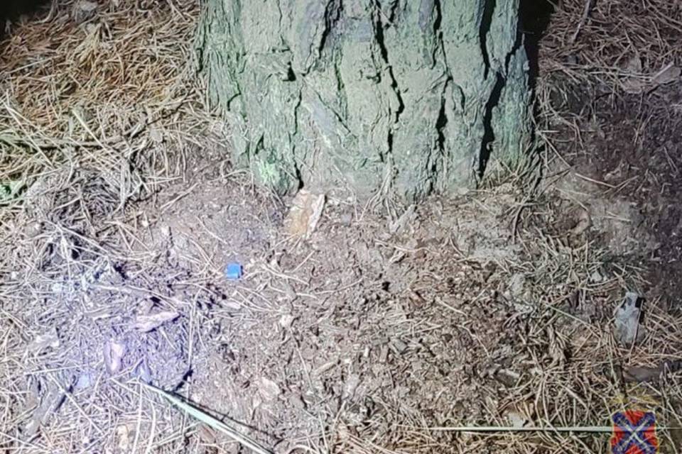 Партию наркотика изъяли у волгоградца в Урюпинске