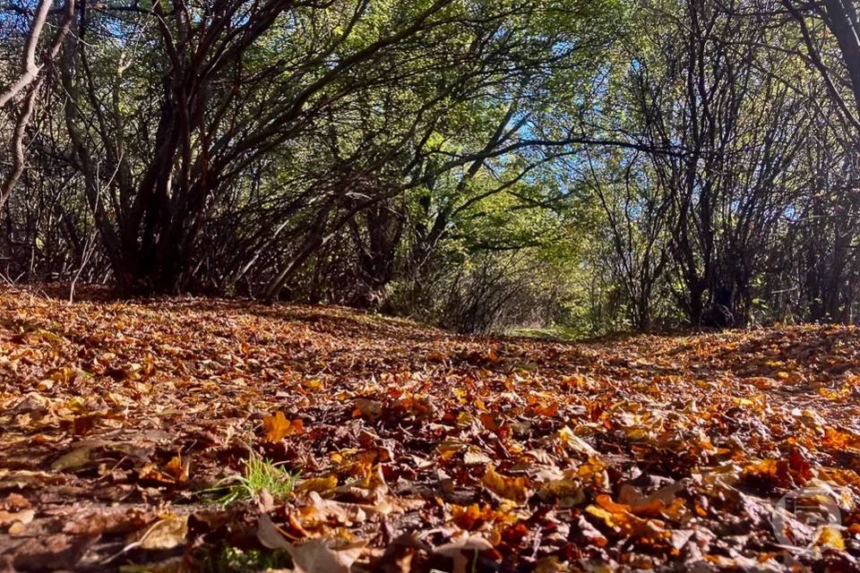 В Волгоградской области бесследно исчезли 5 человек