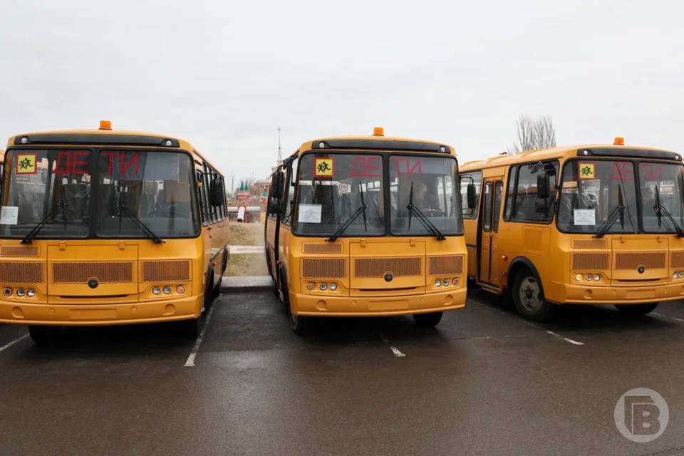 Партия из 10 новых школьных автобусов поступила в Волгоградский регион