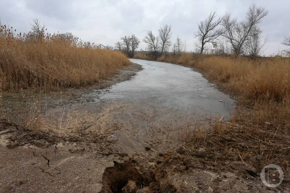 В ноябре нашли 32 пропавших волгоградца