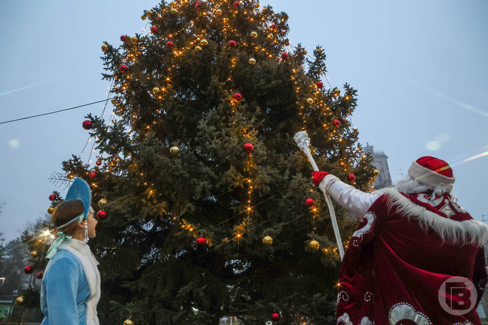 Аферисты в Сети обещают волгоградцам новогодние премии