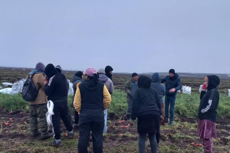 Под Волгоградом полицейские выявили 7 иностранцев-нелегалов