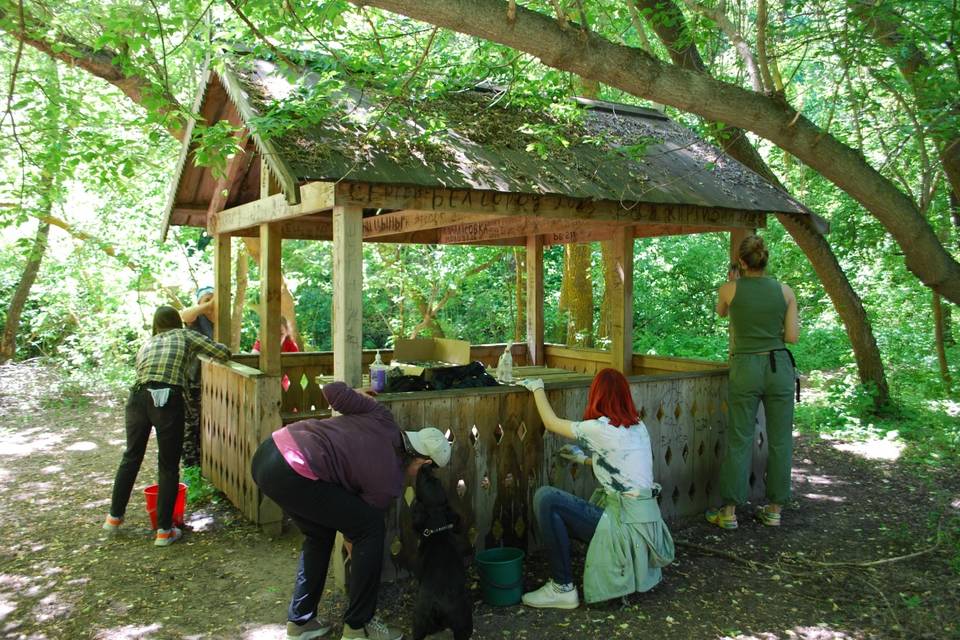 В Волгоградской области развивается волонтерское экодвижение