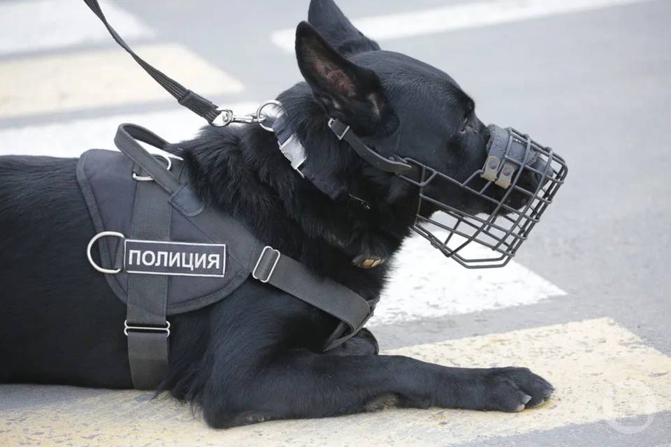 Волгоградка стала жертвой избиения в магазине