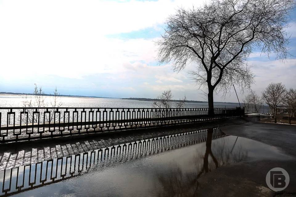 О погоде в Волгограде 7 декабря рассказали синоптики