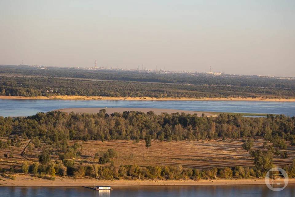 50 га земли лесничества Волгоградской области возвращено в госсобственность