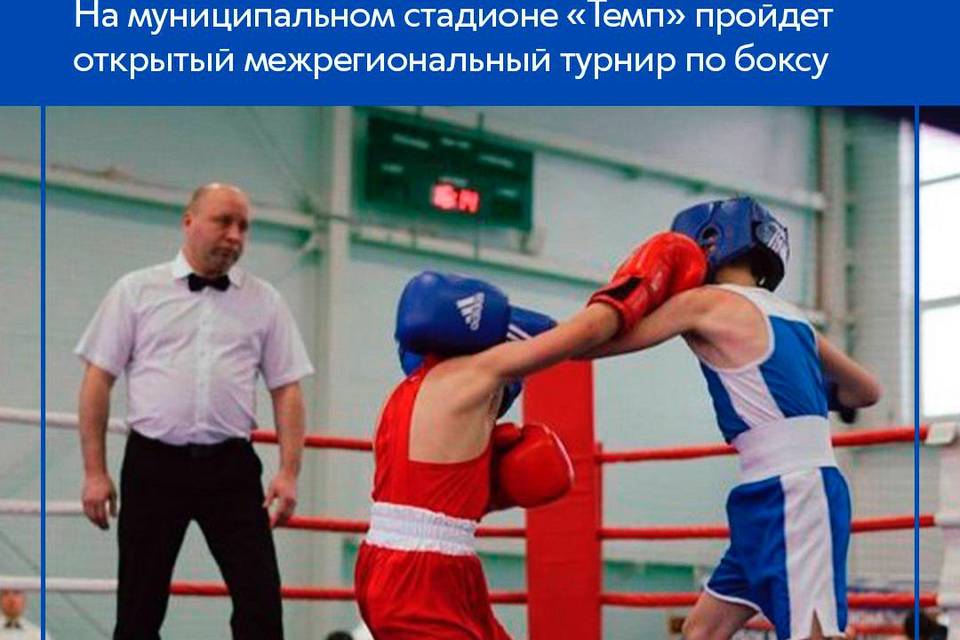 В Волгограде стартует турнир по боксу «Кубок Бабанина»