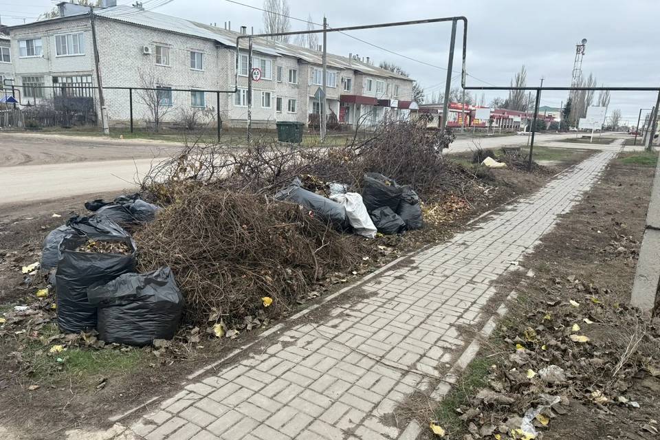 Под Волгоградом ликвидировали несанкционированную свалку