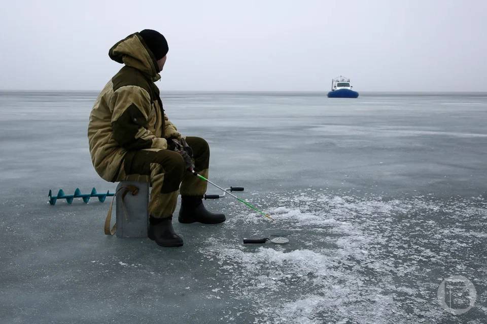 В Астраханской области рыбакам запретили ловить щуку