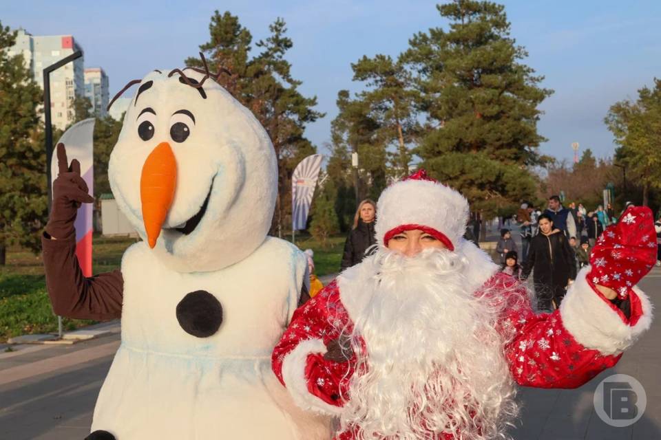 Волгоградцы заплатят от 2 000 рублей за Деда Мороза и Снегурочку