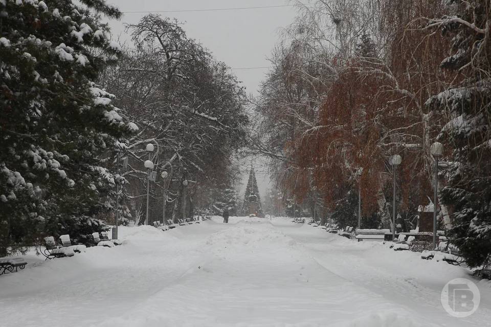 Волгоград ждет резкое похолодание к концу недели