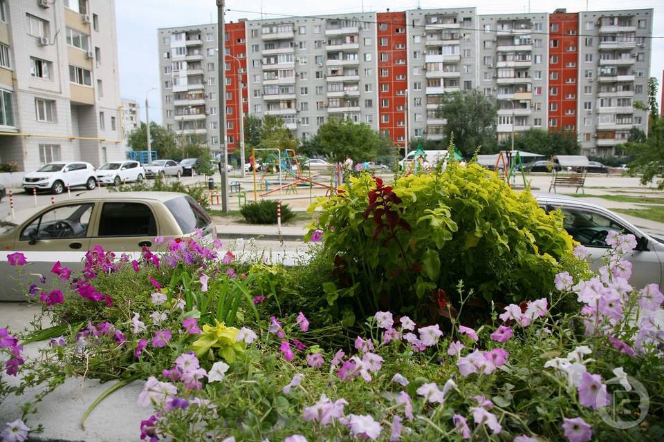 Волгоградец пожаловался на брошенное авто у дома чиновникам и в суд