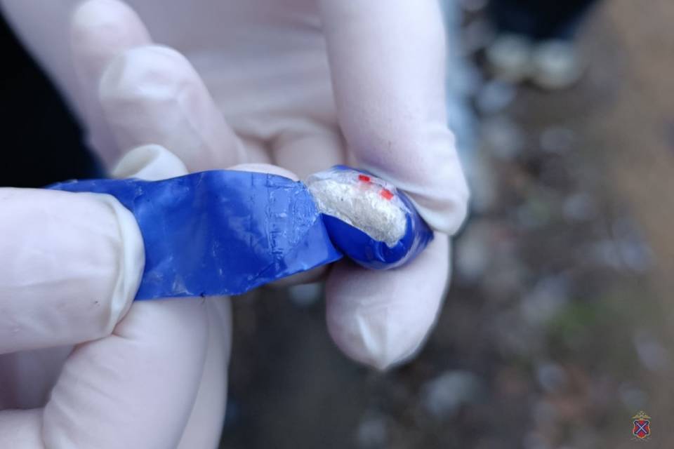 В Камышине задержали жителя Котово при попытке забрать закладку с наркотиком