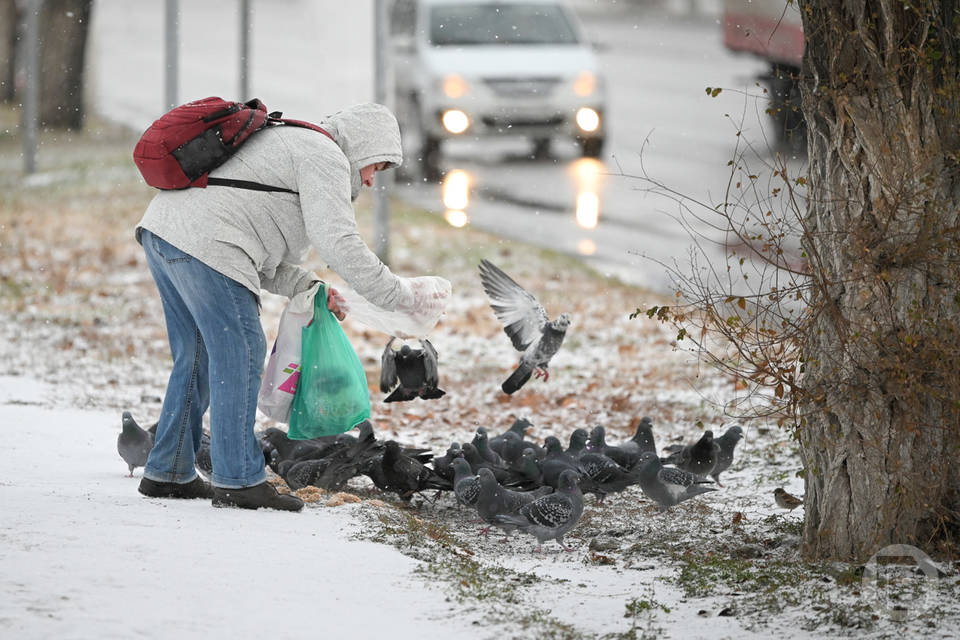 Волгоградская область – на 4-м месте в ЮФО по доходам населения