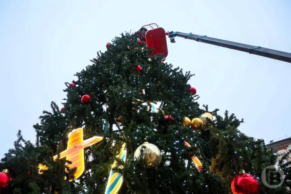 Новогодняя ель загорится в ЦПКиО Волгограда 20 декабря