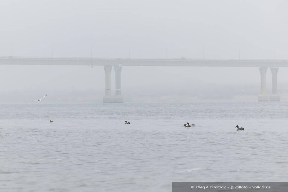 Волгоградцев предупреждают о желтом уровне погодной опасности 18 декабря