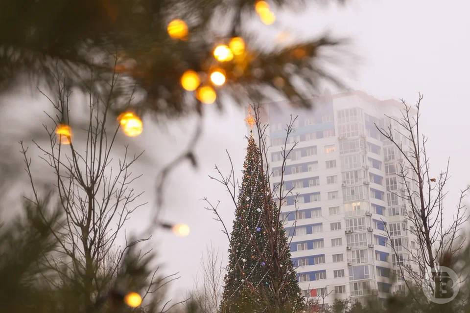 Потепление ждет волгоградцев 20 декабря