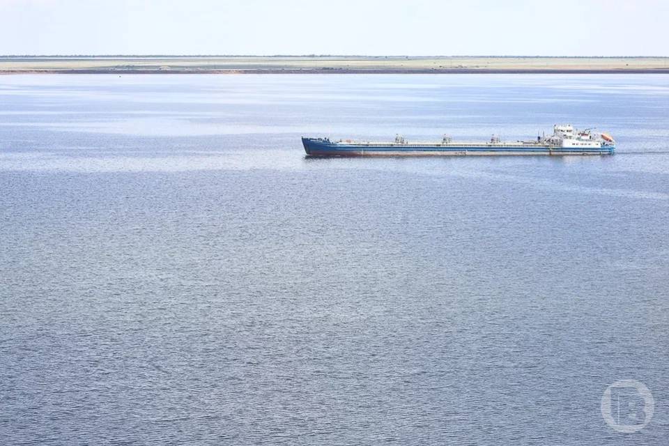 110 тысяч тонн фуражного зерна отправили волгоградские аграрии в Иран