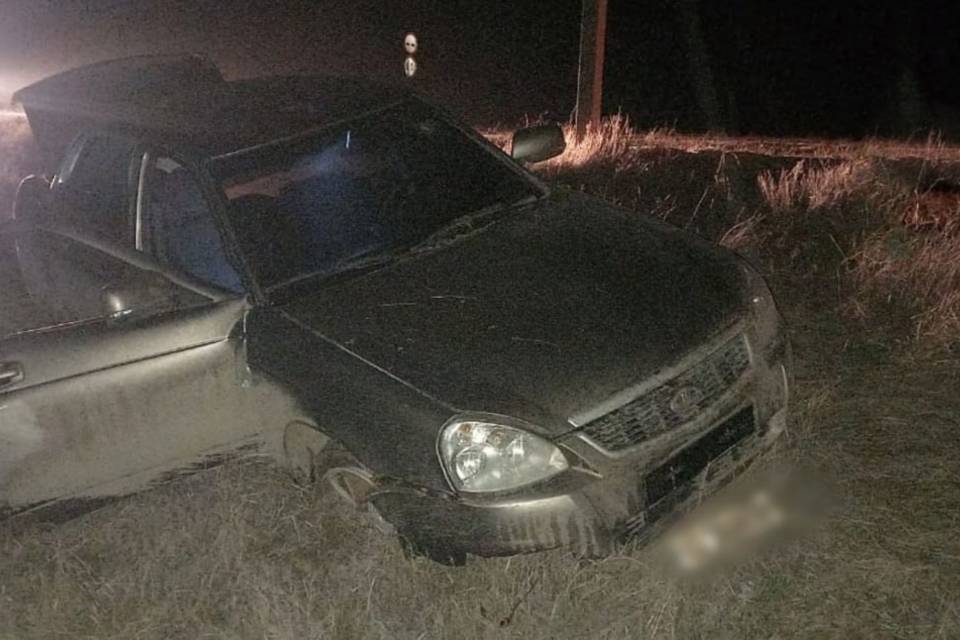 «Приора» вылетела в кювет под Волгоградом