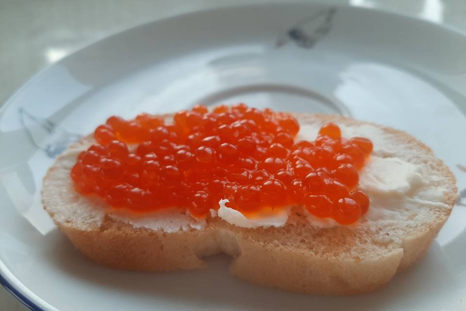 Волгоградцев шокировали кишечной палочкой в красной икре