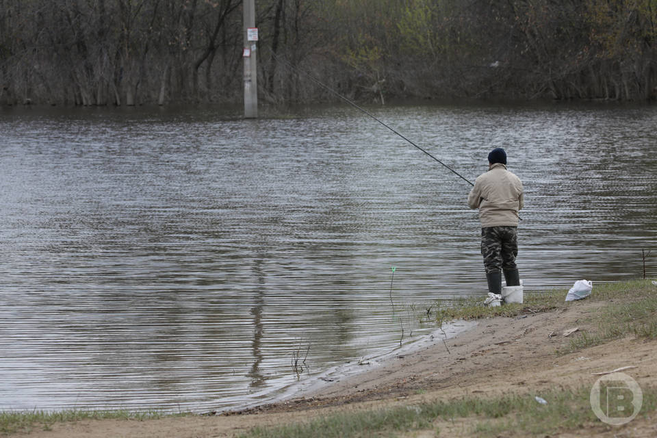 Волгоградца оштрафовали за рыбалку с 15 крючками