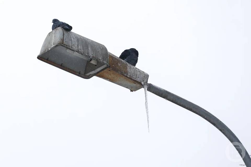 25 декабря столбик термометра может понизится до -16º в Волгограде