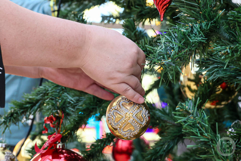 OZON сократил волгоградцам до 7 дней срок возврата елок и гирлянд