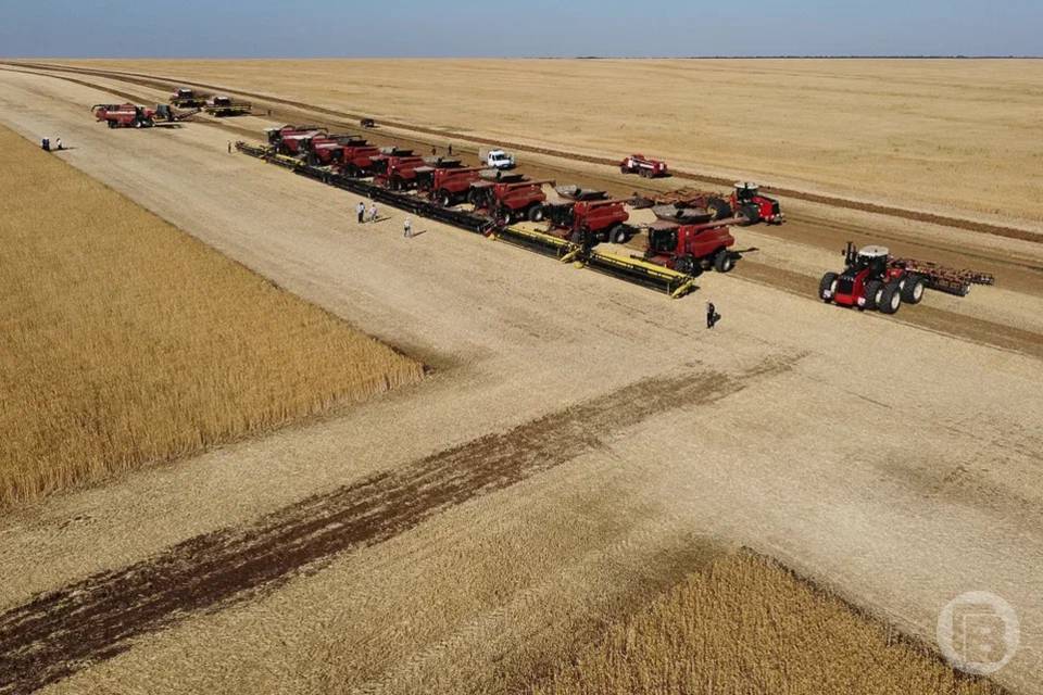 130 инвестпроектов АПК реализуют в Волгоградской области