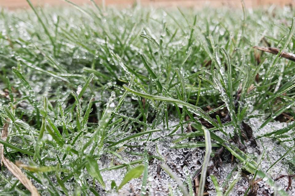 Метель и морозы до -22 градусов надвигаются на Волгоград