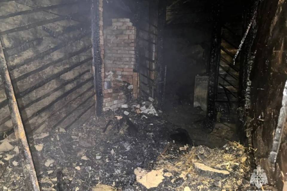 Под Волгоградом в своих домах сгорели два пенсионера