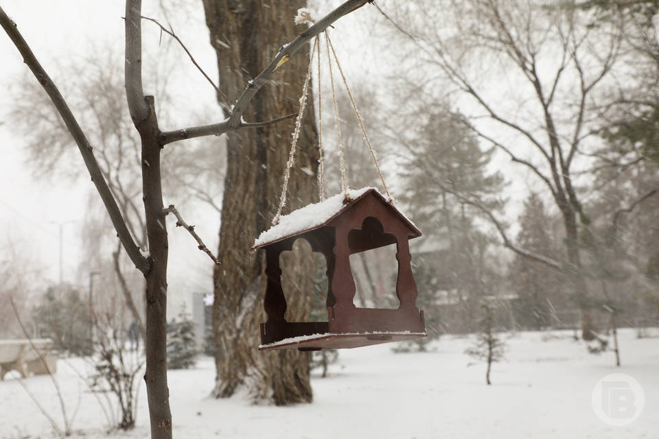 Снежная погода ожидает волгоградцев 27 декабря