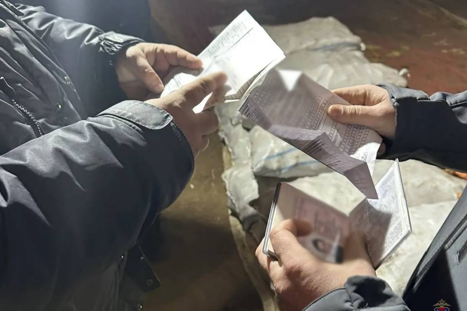 Двух мигрантов выдворят за пределы Волгоградской области и России