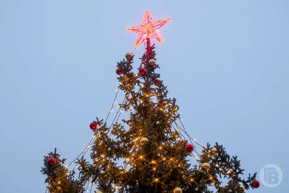 «Рыжая елка» ждет юных волгоградцев на юге Волгограда