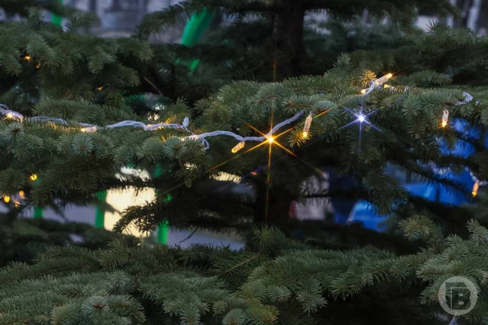 Кулинарные матер-классы, танцы, коньки ждут волгоградцев в ЦПКиО