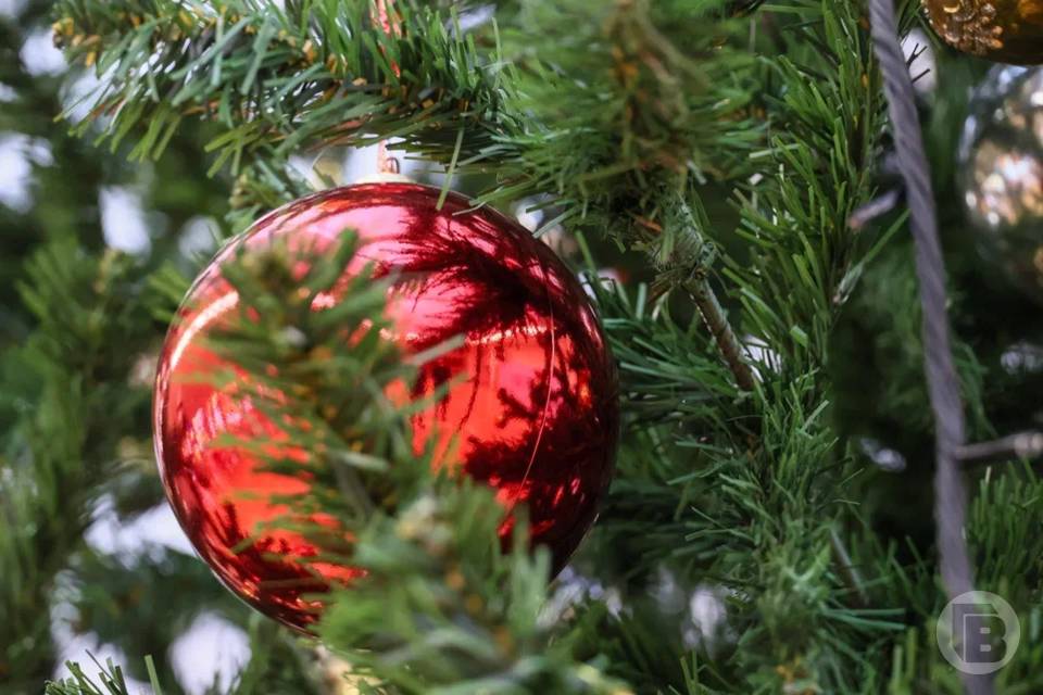 Правила использования новогодних гирлянд напомнили волгоградцам