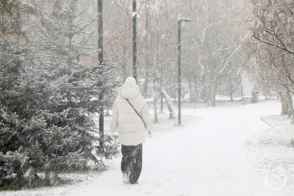 В Волгоградской области 1 января вступят в силу новые законы