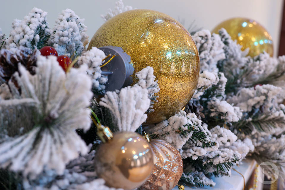 2025 со Сбером: год возможностей для молодежи