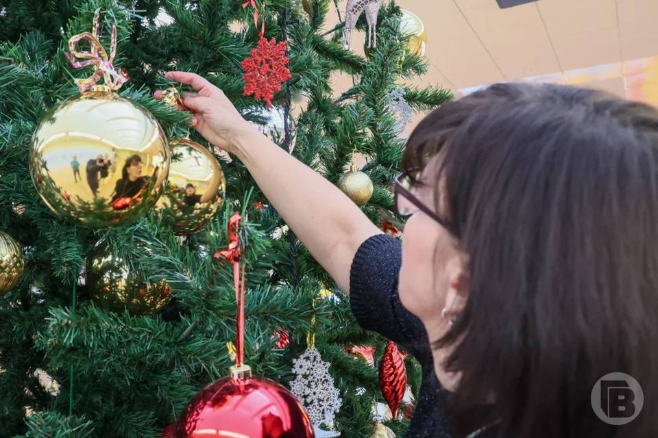 Новый год в феврале: почему волгоградцы ждут 17 февраля