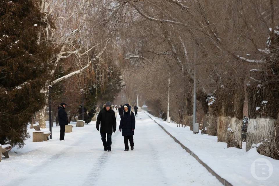 Ветреная погода ожидает волгоградцев 2 января