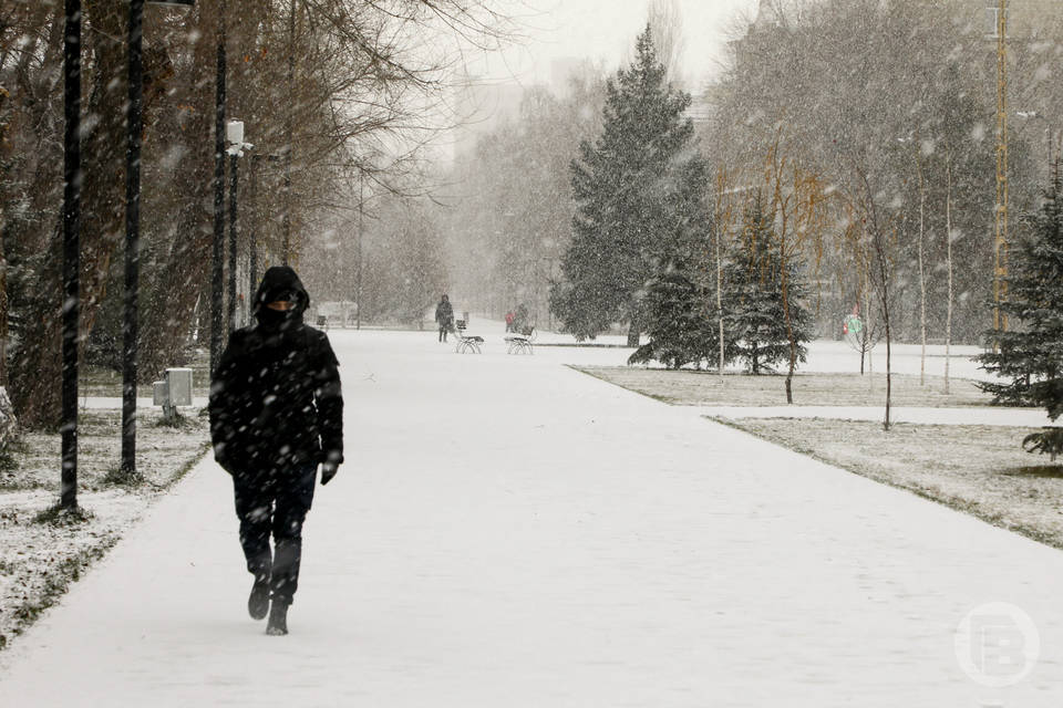 Волгоградцев предупреждают о желтом уровне погодной опасности 2 января