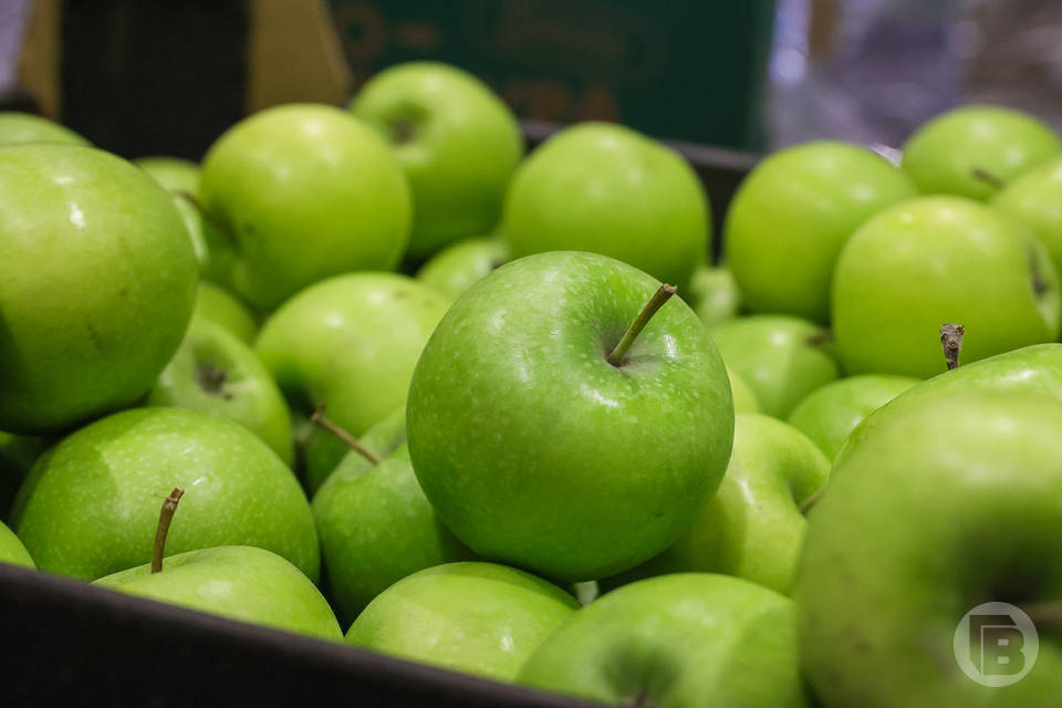 Обновился рекорд по количеству плодов и яблок произведенных в Волгоградской области
