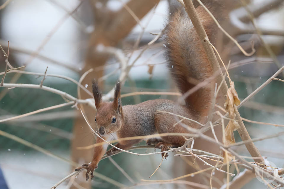 От -7º до +4º: волгоградцев предупредили о порывистом ветре до 23 м/с