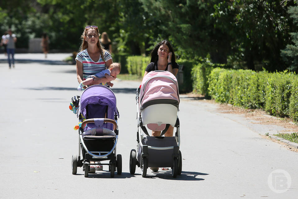 Волгоградки рожают первенца в среднем в 26 лет