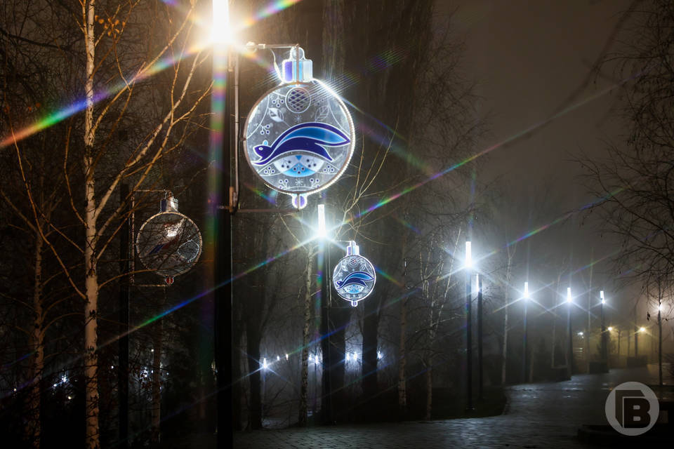Туман, гололед и мокрый снег ждут волгоградцев на Рождество